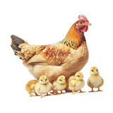Maxbell Chicken Wall Sticker Rooster Chicken Waterproof for School Apartment Kitchen