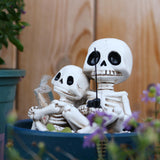 Maxbell Skull Ornament Decorative Resin Landscape for Flower Pot Pond Potted Planter