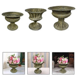 Maxbell Flower Vase Decoration Floral Arrangement for Home Bookshelf Valentine's Day Bottom Dia 10 cm