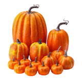 Maxbell 14x Artificial Pumpkins Fall Season Decorative Wedding Assorted Thanksgiving Orange