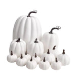 Maxbell 14x Artificial Pumpkins Fall Season Decorative Wedding Assorted Thanksgiving White