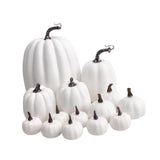 Maxbell 14x Artificial Pumpkins Fall Season Decorative Wedding Assorted Thanksgiving White