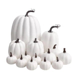 Maxbell 14x Artificial Pumpkins Fall Season Decorative Wedding Assorted Thanksgiving White