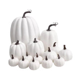 Maxbell 14x Artificial Pumpkins Fall Season Decorative Wedding Assorted Thanksgiving White