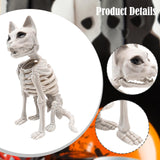 Maxbell Sitting Cat Skeleton Halloween Decoration Versatile Creepy White PP Material