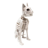 Maxbell Sitting Cat Skeleton Halloween Decoration Versatile Creepy White PP Material