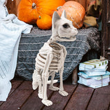 Maxbell Sitting Cat Skeleton Halloween Decoration Versatile Creepy White PP Material