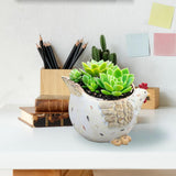 Maxbell Hen Flower Pot Plant Container Resin Figurine Display Chicken Statue Planter