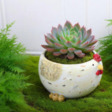 Maxbell Hen Flower Pot Plant Container Resin Figurine Display Chicken Statue Planter