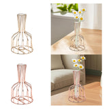 Maxbell Desktop Hydroponic Vase Minimalist Centerpiece Planter Terrariums for Office