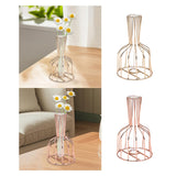 Maxbell Desktop Hydroponic Vase Minimalist Centerpiece Planter Terrariums for Office