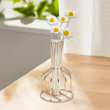 Maxbell Desktop Hydroponic Vase Minimalist Centerpiece Planter Terrariums for Office