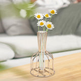 Maxbell Desktop Hydroponic Vase Minimalist Centerpiece Planter Terrariums for Office