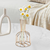 Maxbell Desktop Hydroponic Vase Minimalist Centerpiece Planter Terrariums for Office