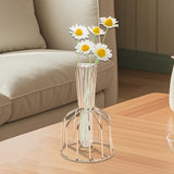 Maxbell Desktop Hydroponic Vase Minimalist Centerpiece Planter Terrariums for Office
