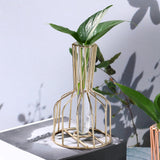 Maxbell Desktop Hydroponic Vase Minimalist Centerpiece Planter Terrariums for Office