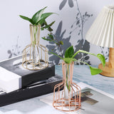Maxbell Desktop Hydroponic Vase Minimalist Centerpiece Planter Terrariums for Office