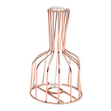 Maxbell Desktop Hydroponic Vase Minimalist Centerpiece Planter Terrariums for Office