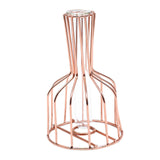 Maxbell Desktop Hydroponic Vase Minimalist Centerpiece Planter Terrariums for Office