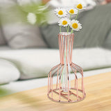 Maxbell Desktop Hydroponic Vase Minimalist Centerpiece Planter Terrariums for Office