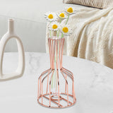 Maxbell Desktop Hydroponic Vase Minimalist Centerpiece Planter Terrariums for Office