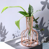Maxbell Desktop Hydroponic Vase Minimalist Centerpiece Planter Terrariums for Office