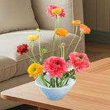 Maxbell Flower Frogs Home Decoration Stem Holder for Home Decor Tabletop DIY Bouquet Beige
