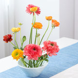 Maxbell Flower Frogs Home Decoration Stem Holder for Home Decor Tabletop DIY Bouquet Beige