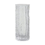 Maxbell Clear Glass Vase Indoor Plants Floral Arrangement Ornament for Desktop Table