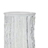 Maxbell Clear Glass Vase Indoor Plants Floral Arrangement Ornament for Desktop Table