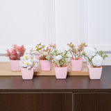 Maxbell 6Pcs Potted Artificial Flowers Mini Potted Plants for Desk Farmhouse Outdoor Style A