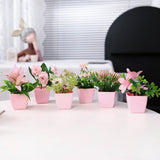 Maxbell 6Pcs Potted Artificial Flowers Mini Potted Plants for Desk Farmhouse Outdoor Style B