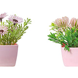 Maxbell 6Pcs Potted Artificial Flowers Mini Potted Plants for Desk Farmhouse Outdoor Style B
