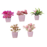Maxbell 5x Artificial Potted Flowers Faux Flower in Pot for Office Living Room Shelf Style A