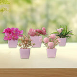 Maxbell 5x Artificial Potted Flowers Faux Flower in Pot for Office Living Room Shelf Style A