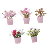 Maxbell 5x Artificial Potted Flowers Faux Flower in Pot for Office Living Room Shelf Style B