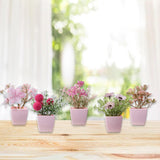 Maxbell 5x Artificial Potted Flowers Faux Flower in Pot for Office Living Room Shelf Style B