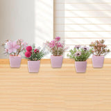Maxbell 5x Artificial Potted Flowers Faux Flower in Pot for Office Living Room Shelf Style B