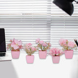 Maxbell 5x Artificial Potted Flowers Faux Flower in Pot for Office Living Room Shelf Style C