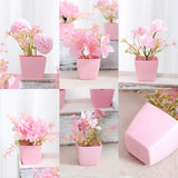 Maxbell 5x Artificial Potted Flowers Faux Flower in Pot for Office Living Room Shelf Style D