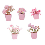 Maxbell 5x Artificial Potted Flowers Faux Flower in Pot for Office Living Room Shelf Style D
