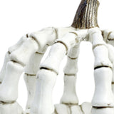 Maxbell Halloween Skeleton Pumpkin Decoration for Living Room Housewarming Fireplace 13.8x13.2x12cm
