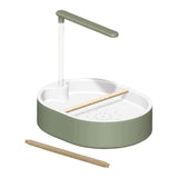 Bird Automatic Bath Shower with Wooden Perches Cage Accessory Parrot Bathtub Green Shower Head