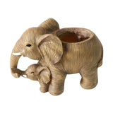24