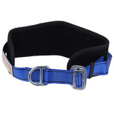 Safety Rock Climbing Fall Protection Waist Belt Harness Equip with D-Ring Equipment