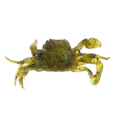 Maxbell 3D Soft Crab with Hook + Earthworm Lure Set Fishing Tackle Gear - Aladdin Shoppers