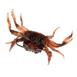 Maxbell 3D Soft Crab with Hook + Earthworm Lure Set Fishing Tackle Gear - Aladdin Shoppers