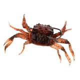 Maxbell 3D Soft Crab with Hook + Earthworm Lure Set Fishing Tackle Gear - Aladdin Shoppers