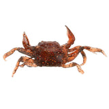 Maxbell 3D Soft Crab with Hook + Earthworm Lure Set Fishing Tackle Gear - Aladdin Shoppers