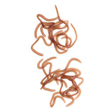 Maxbell 3D Soft Crab with Hook + Earthworm Lure Set Fishing Tackle Gear - Aladdin Shoppers